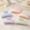 Everyday Plastic Claw Clip