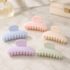 Everyday Plastic Claw Clip