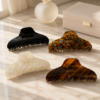 Glossy Tortoise Shell Claw Clip