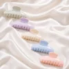 Everyday Plastic Claw Clip