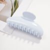 Everyday Plastic Claw Clip